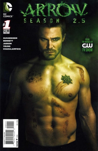 Arrow Season 2.5 # 1