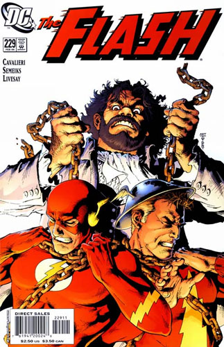 The Flash vol 2 # 229