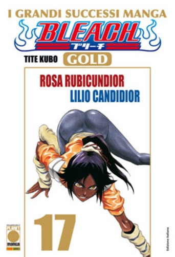 Bleach - Gold # 17