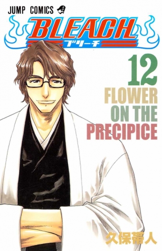 Bleach (BLEACH ブリーチ BLEACH Burīchi) # 12