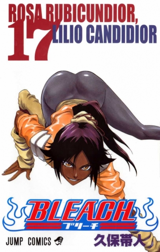 Bleach (BLEACH ブリーチ BLEACH Burīchi) # 17