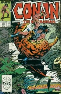 Conan The Barbarian Vol 1 # 213