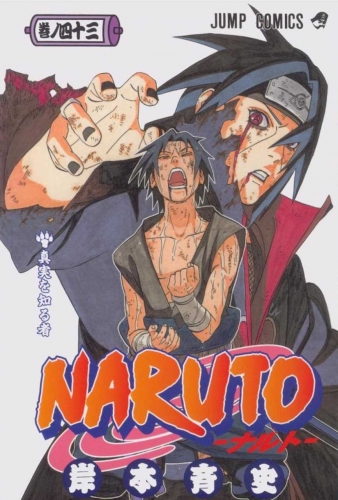 Naruto (NARUTO -ナルト-)  # 43