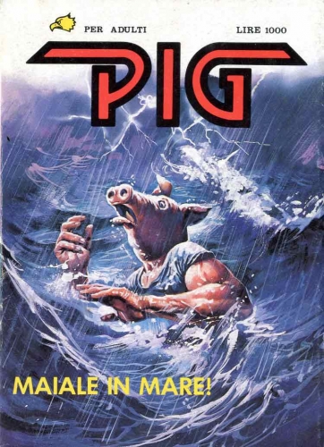 Pig # 13