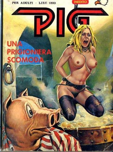 Pig # 41
