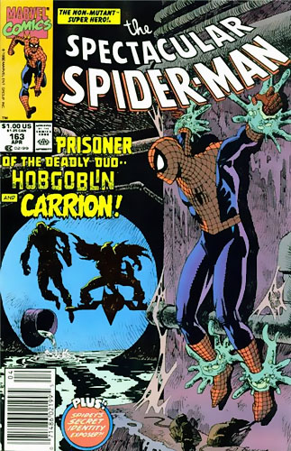 Peter Parker, The Spectacular Spider-Man # 163