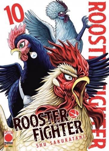 Rooster Fighter # 10