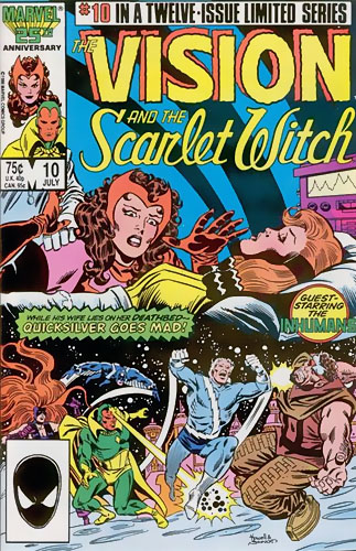 The Vision and the Scarlet Witch vol 2 # 10