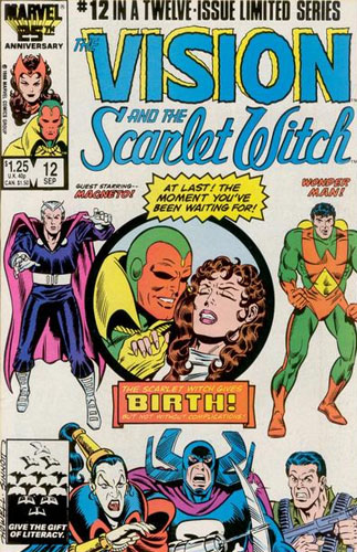 The Vision and the Scarlet Witch vol 2 # 12
