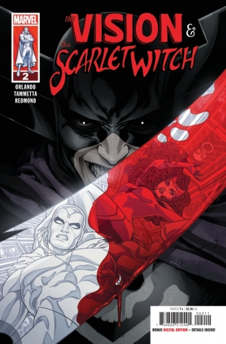 The Vision & The Scarlet Witch Vol 3 # 2
