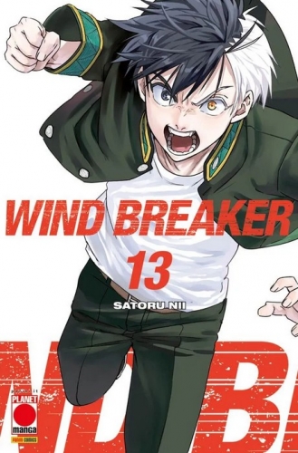 Wind Breaker # 13