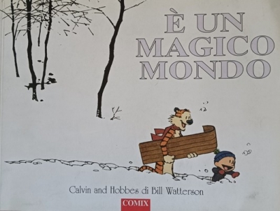 Calvin and Hobbes # 11