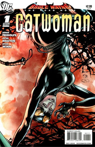 Bruce Wayne - The Road Home: Catwoman # 1