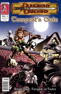 Dungeons & Dragons: Tempest's Gate # 2