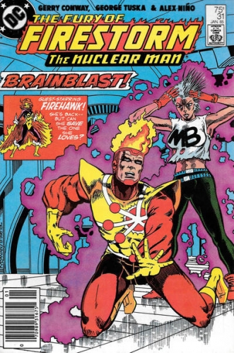 Firestorm Vol 2 # 31