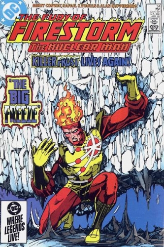 Firestorm Vol 2 # 34