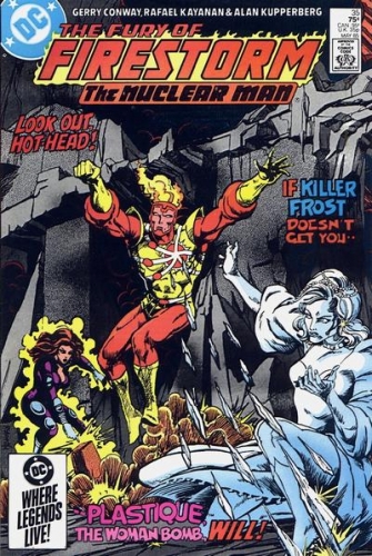 Firestorm Vol 2 # 35