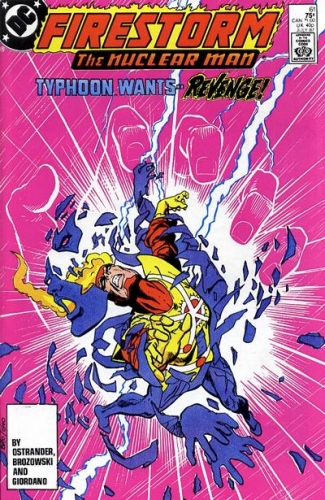 Firestorm Vol 2 # 61