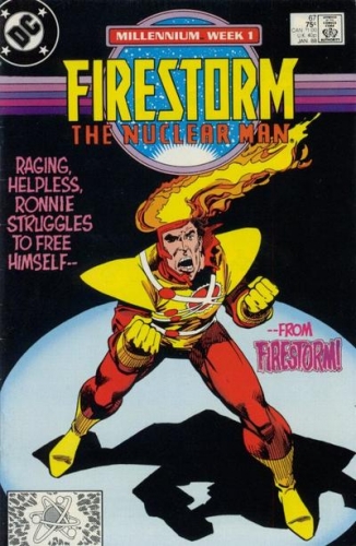 Firestorm Vol 2 # 67