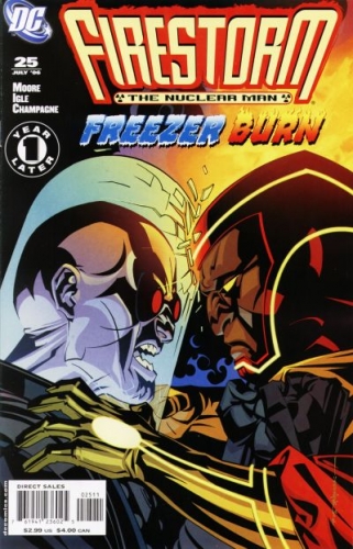 Firestorm Vol 3 # 25