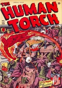 The Human Torch # 15