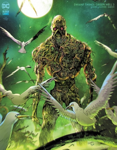 Swamp Thing: Green Hell # 3