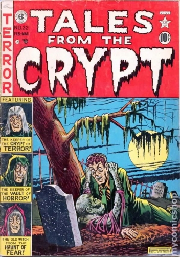 Tales from the Crypt # 22