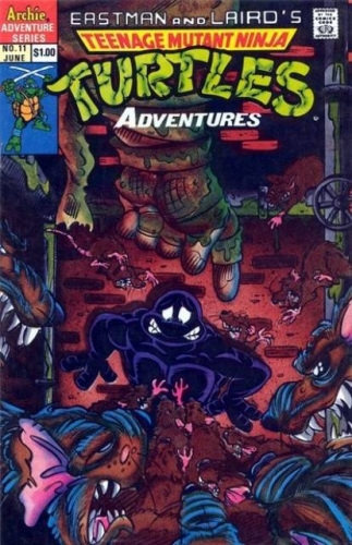 Teenage Mutant Ninja Turtles Adventures (1989 Archie) # 11