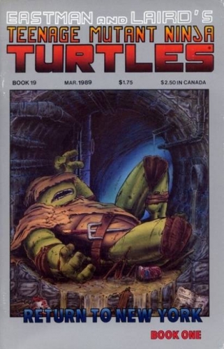 Teenage Mutant Ninja Turtles VOL 1 # 19