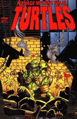 Teenage Mutant Ninja Turtles VOL 3 # 12