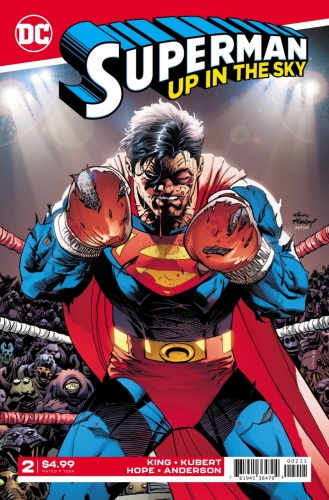 Superman: Up in the Sky # 2