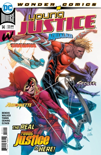 Young Justice vol 3 # 14